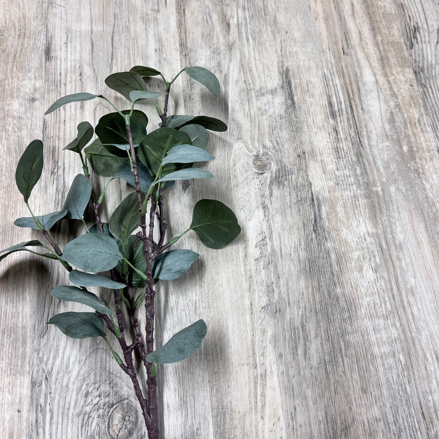 Vinylplanka SPC+EVA Natur Sviby 1718SE 2,79m²